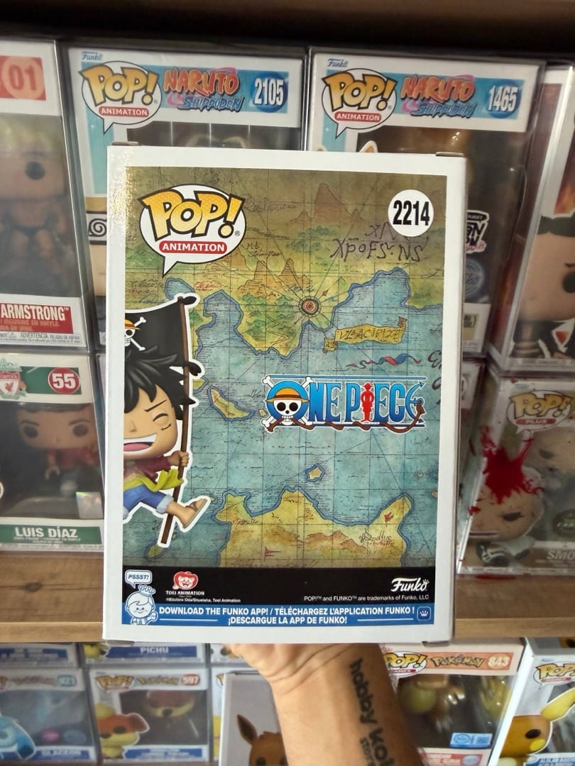 Monkey D. Luffy #2214 — вигляд ззаду