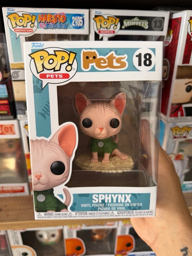 Sphynx #18 — вигляд спереду