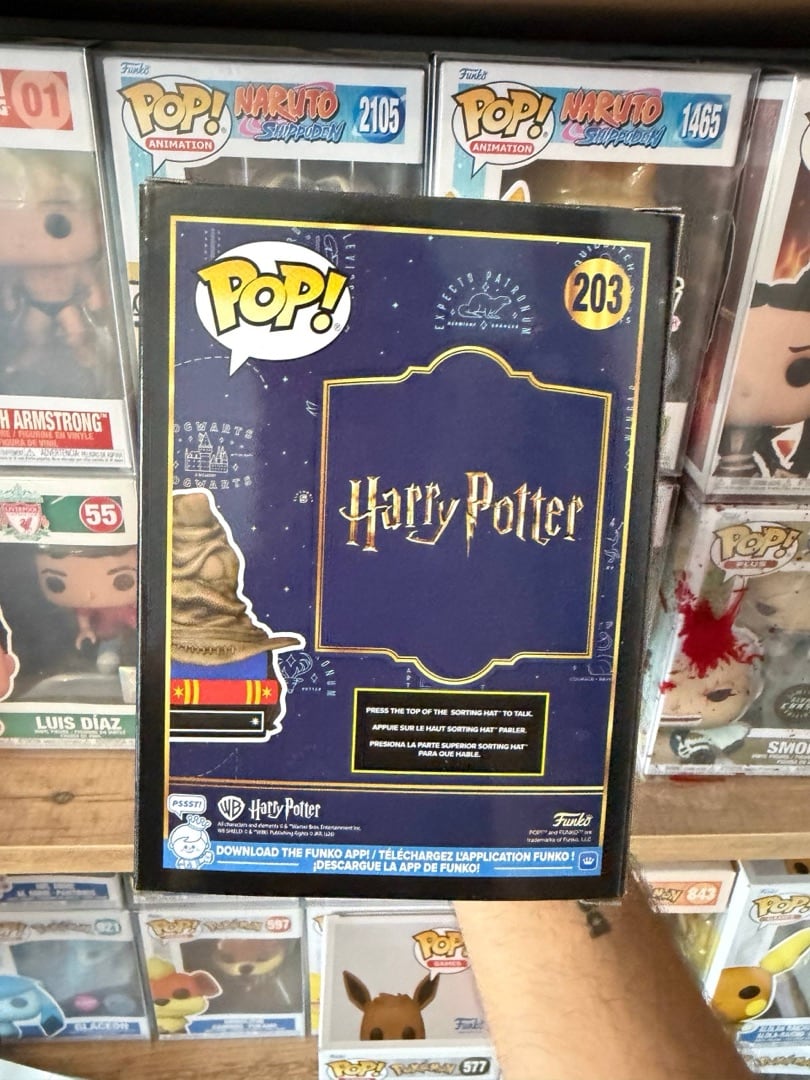 Sorting Hat #203 — вигляд ззаду