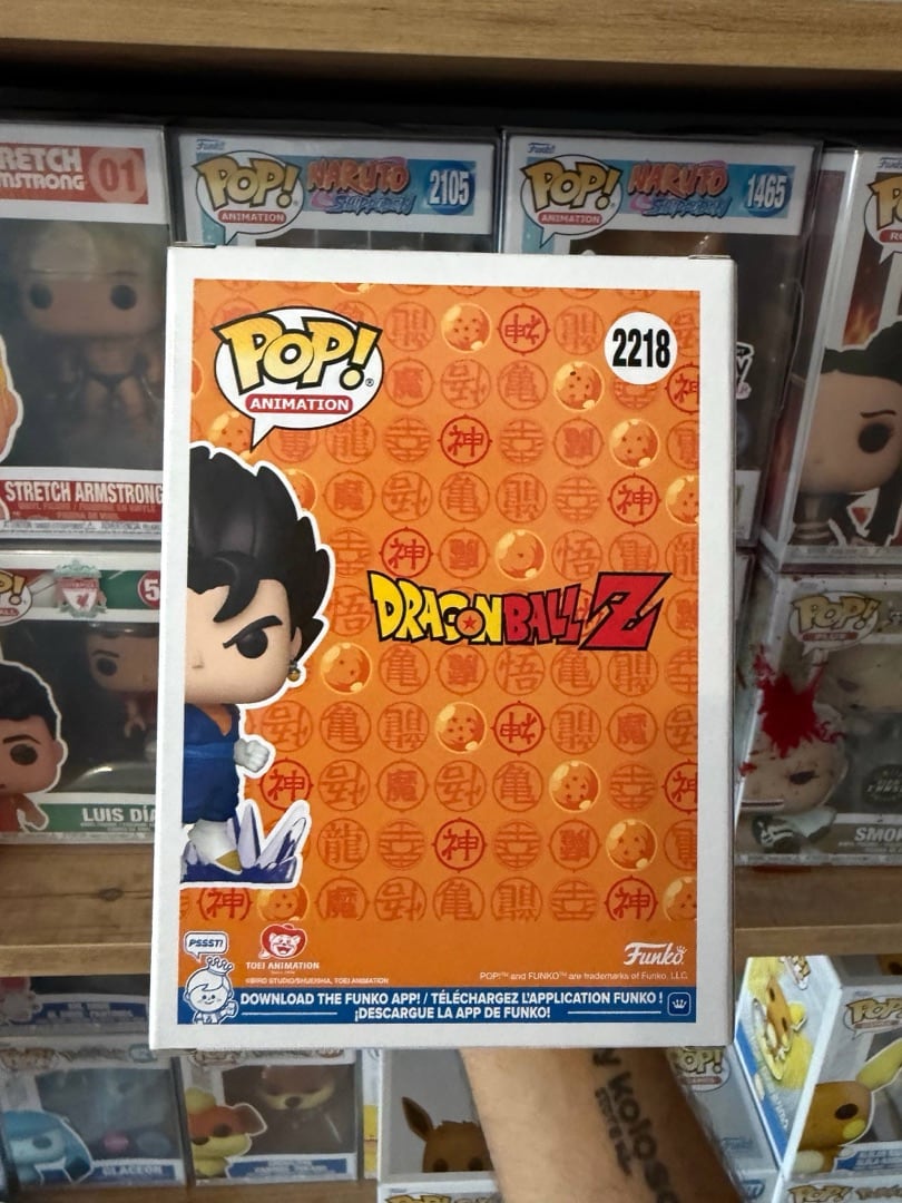 Vegito #2218 — вигляд ззаду