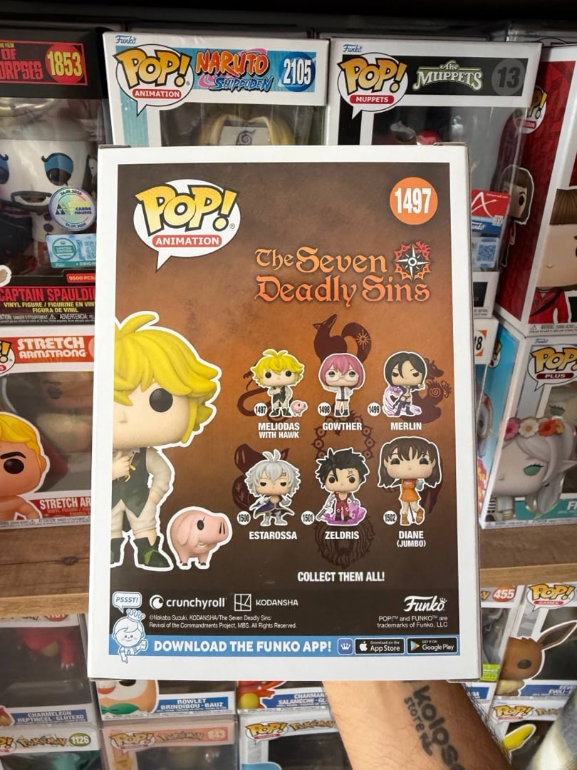Meliodas with Hawk #1497 — вигляд ззаду