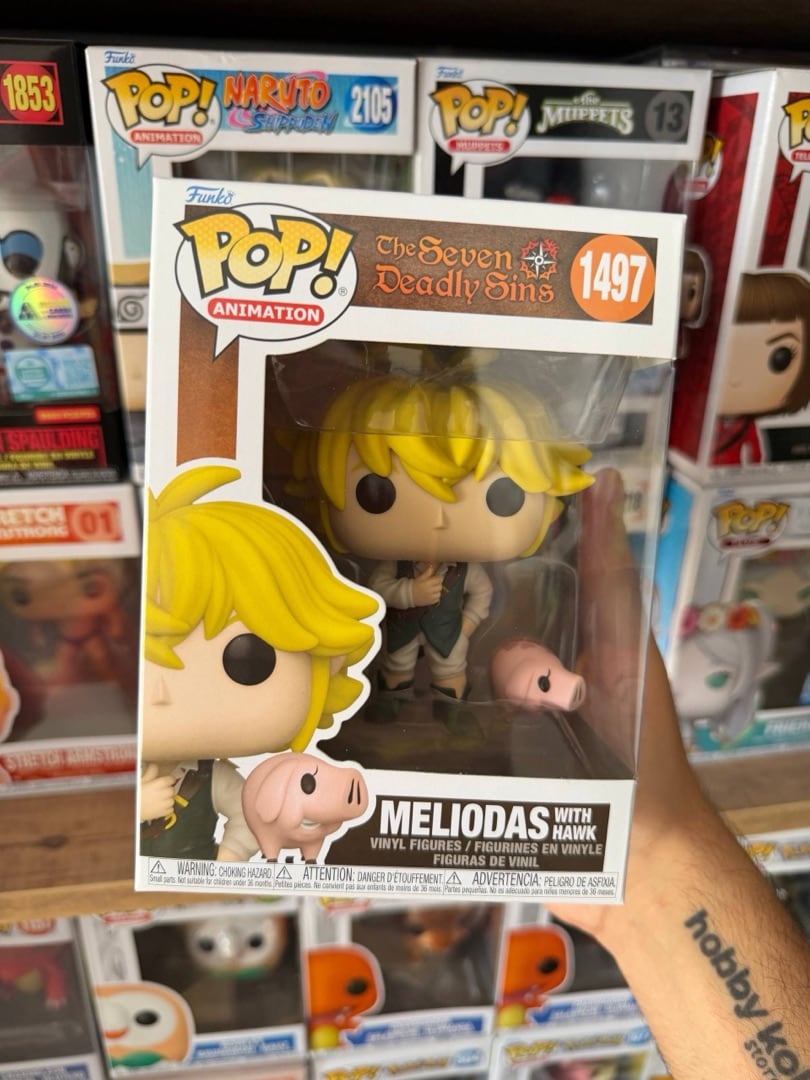 Meliodas with Hawk #1497 — вигляд спереду